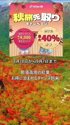 おでかけポコのTikTok投稿