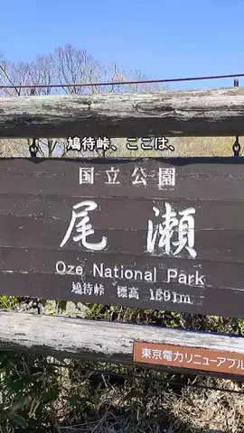 おでかけポコのTikTok投稿