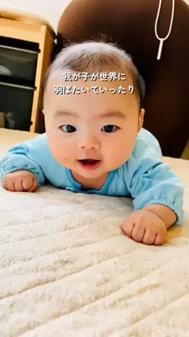 ぱん|iPhone好きママの便利な暮らしのTikTok投稿