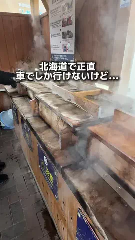 りこモグのTikTok投稿