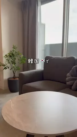 あぴお｜ライフハックのTikTok投稿