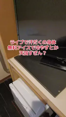 野良猫　イチくんとナナちゃんのTikTok投稿
