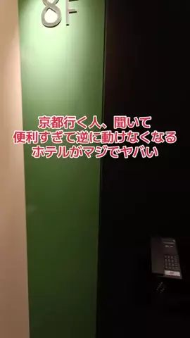 野良猫　イチくんとナナちゃんのTikTok投稿
