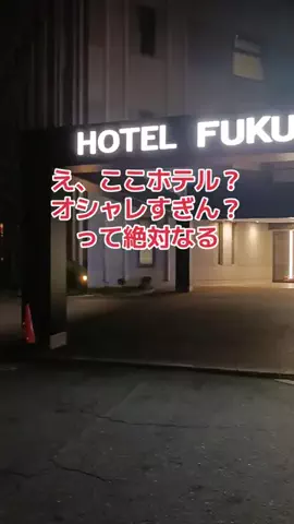 野良猫　イチくんとナナちゃんのTikTok投稿