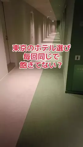野良猫　イチくんとナナちゃんのTikTok投稿