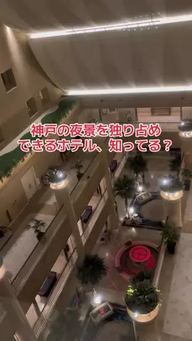 野良猫　イチくんとナナちゃんのTikTok投稿