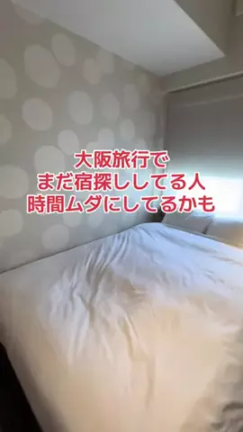 野良猫　イチくんとナナちゃんのTikTok投稿