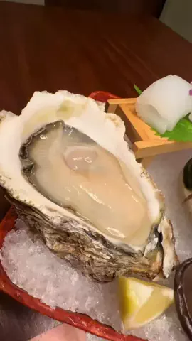 上質旅倶楽部のTikTok投稿