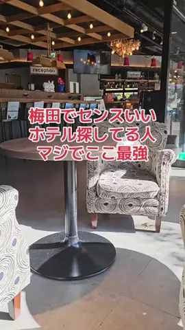 野良猫　イチくんとナナちゃんのTikTok投稿