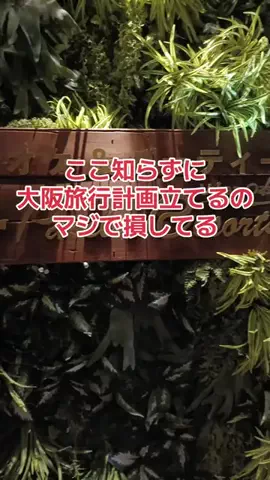 野良猫　イチくんとナナちゃんのTikTok投稿