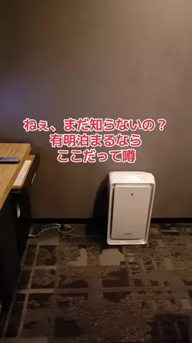 野良猫　イチくんとナナちゃんのTikTok投稿