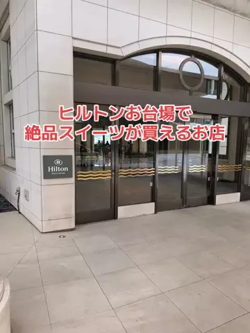 野良猫　イチくんとナナちゃんのTikTok投稿