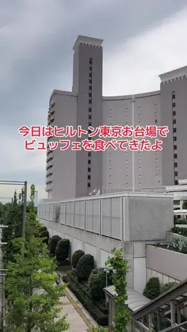 野良猫　イチくんとナナちゃんのTikTok投稿