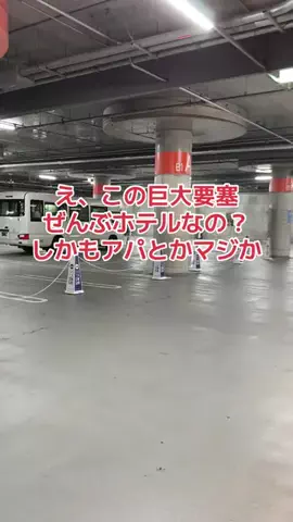 野良猫　イチくんとナナちゃんのTikTok投稿