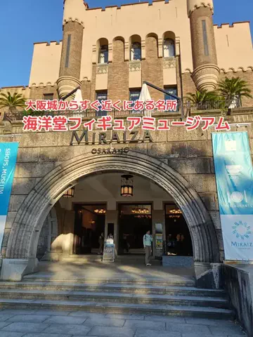 野良猫　イチくんとナナちゃんのTikTok投稿