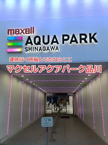 野良猫　イチくんとナナちゃんのTikTok投稿
