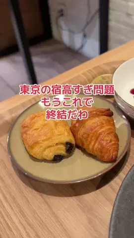 野良猫　イチくんとナナちゃんのTikTok投稿