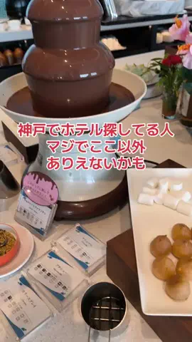 野良猫　イチくんとナナちゃんのTikTok投稿