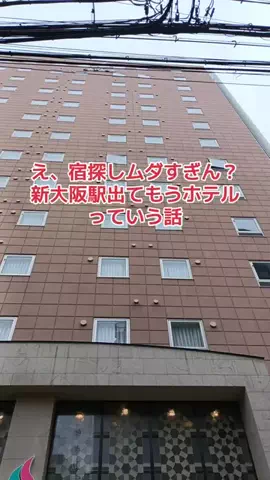 野良猫　イチくんとナナちゃんのTikTok投稿