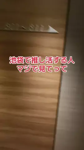 野良猫　イチくんとナナちゃんのTikTok投稿