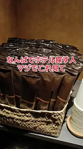 野良猫　イチくんとナナちゃんのTikTok投稿