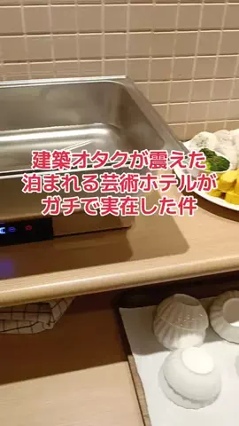 野良猫　イチくんとナナちゃんのTikTok投稿