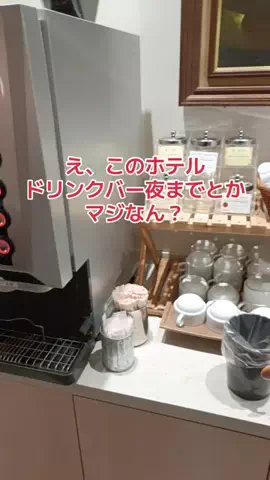 野良猫　イチくんとナナちゃんのTikTok投稿