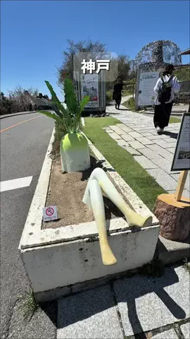 okome.odekake.tripのTikTok投稿
