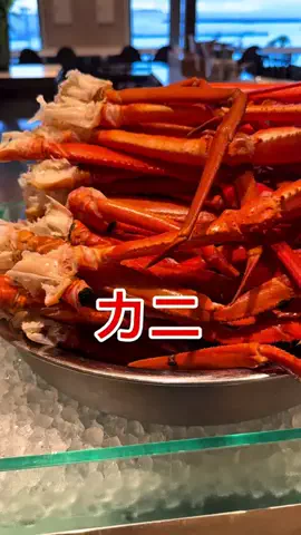 上質旅倶楽部のTikTok投稿