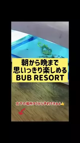 阿川麻美 Asami AgawaのTikTok投稿