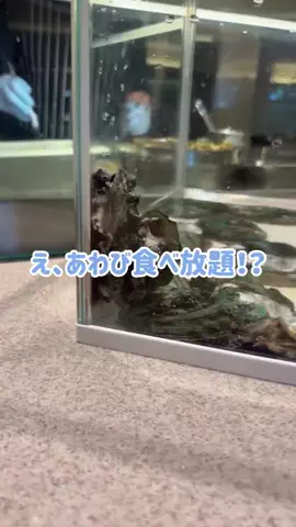 阿川麻美 Asami AgawaのTikTok投稿