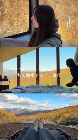 ぷに | 暮らしと旅のTikTok投稿