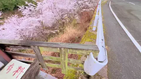 景色撮る人🇯🇵📸のTikTok投稿