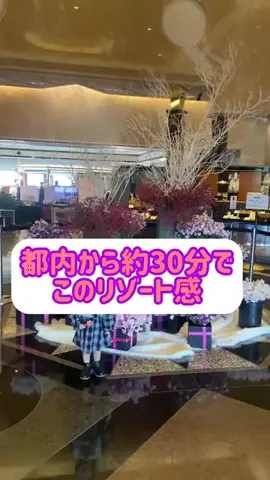 阿川麻美 Asami AgawaのTikTok投稿
