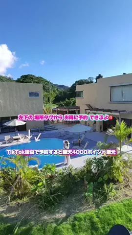 ともみんの大人旅のTikTok投稿