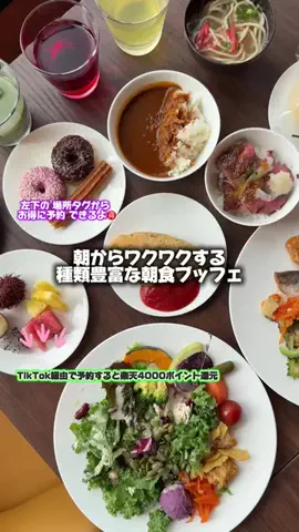 ともみんの大人旅のTikTok投稿