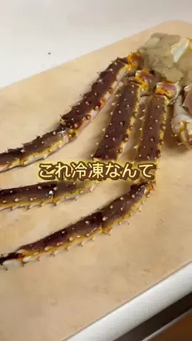 ぽぽのTikTok投稿