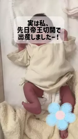ゆりごはんのTikTok投稿