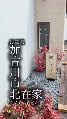 Winnie the PoohのTikTok投稿