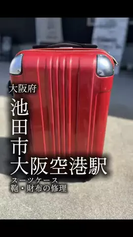 Winnie the PoohのTikTok投稿