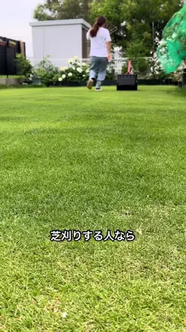 はるの芝生のTikTok投稿
