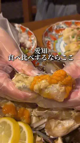 のん | 愛知グルメ・おでかけのTikTok投稿