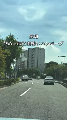 のん | 愛知グルメ・おでかけのTikTok投稿