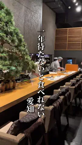 のん | 愛知グルメ・おでかけのTikTok投稿