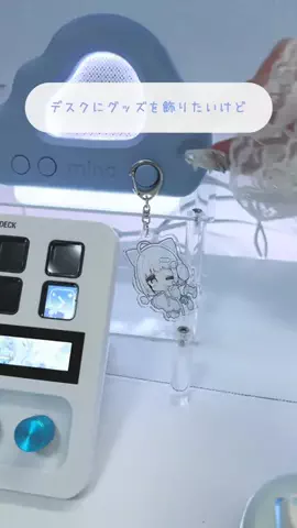 水瀬なの🐻‍❄️🩵/Mizuse NanoのTikTok投稿