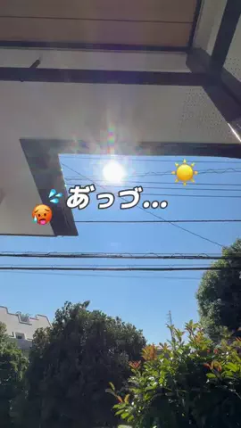 ぬるま湯⌇ 築40年賃貸DIY × 100均DIY🥨のTikTok投稿