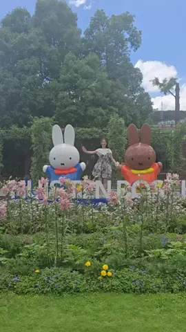 池松美湖🧸🌻のTikTok投稿