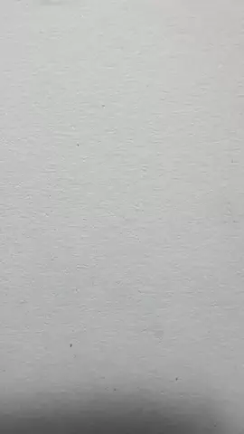 とどみのTikTok投稿