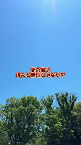 あるママのTikTok投稿