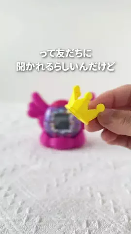 miro_ouchiphoto.diyのTikTok投稿